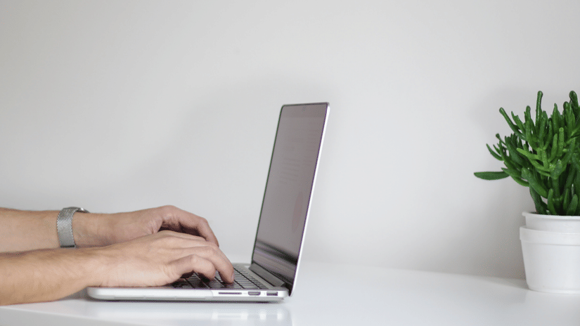  Hands typing on a silver laptop keyboard, with a small green plant on a white desk